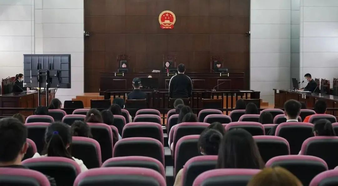 “零距离+沉浸式”大学生组团旁听庭审_云南长安网