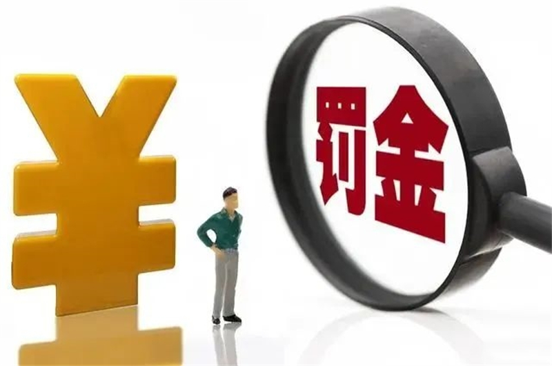 罚款10000元!看红河县人民法院为何对案外人开出这张罚单?_云南长安网