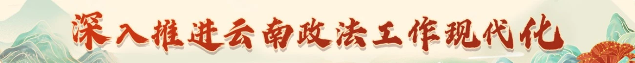 深入推进云南政法工作现代化