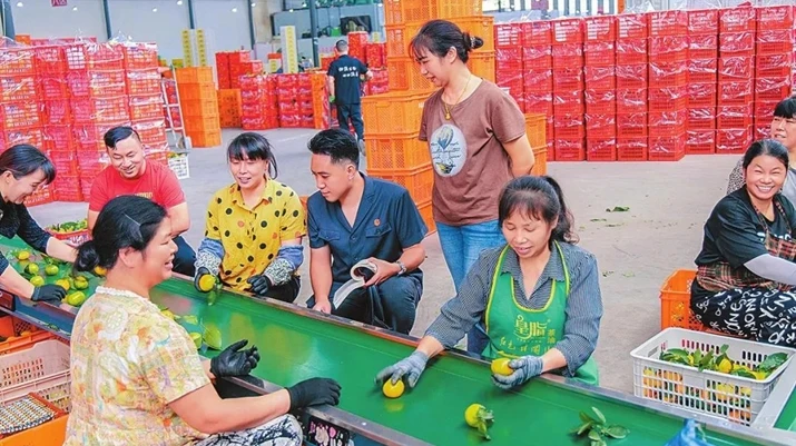 玉溪市华宁县人民法院：司法护航“云果”飘香