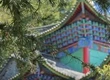 道光年间的环保碑文竟暗合现代法律？