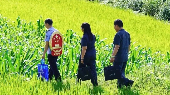 “公司又能正常生产经营了！”红河州绿春县法院法护营商“青山”