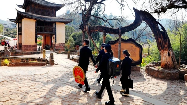 大理中院绘就道交纠纷治理新“枫”景