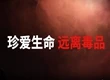 毒品是条不归路，莫拿青春当赌注