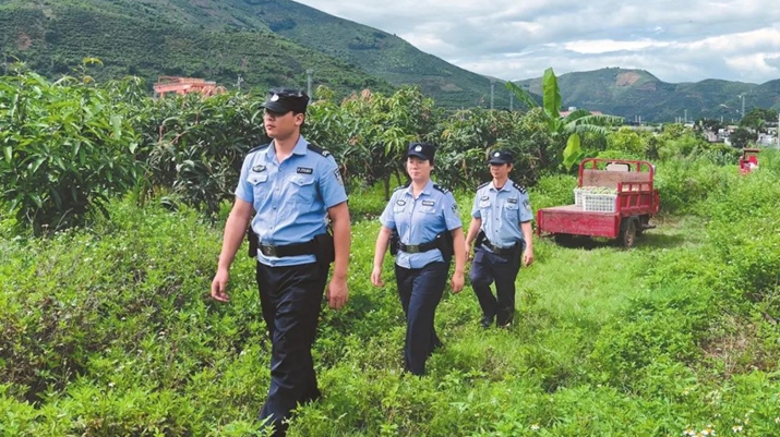 玉溪市元江县公安局：深耕“芒果警务” 护航“甜蜜产业”