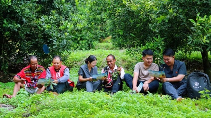 田间地头、晒谷场上、坚果树下，普洱市西盟县法院“双语”普法冒热气！
