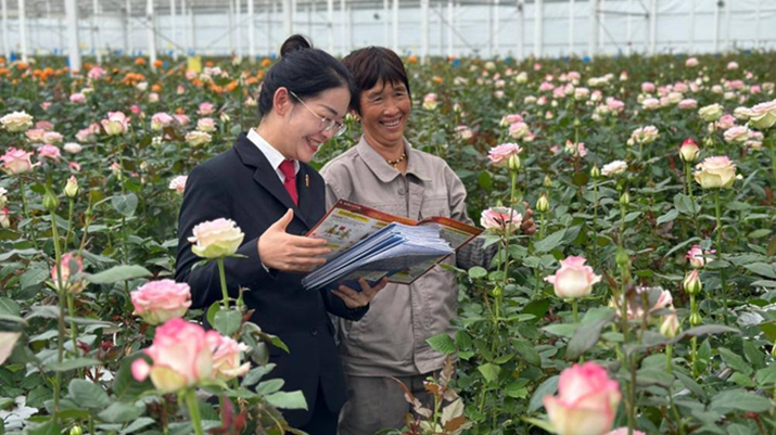 “司法护航云花盛放”主题策划系列报道之一：丽江：让“美丽经济”在高原安家又安“芯”