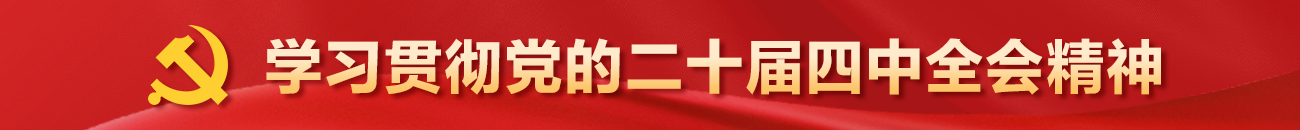 学习贯彻党的二十届四中全会精神