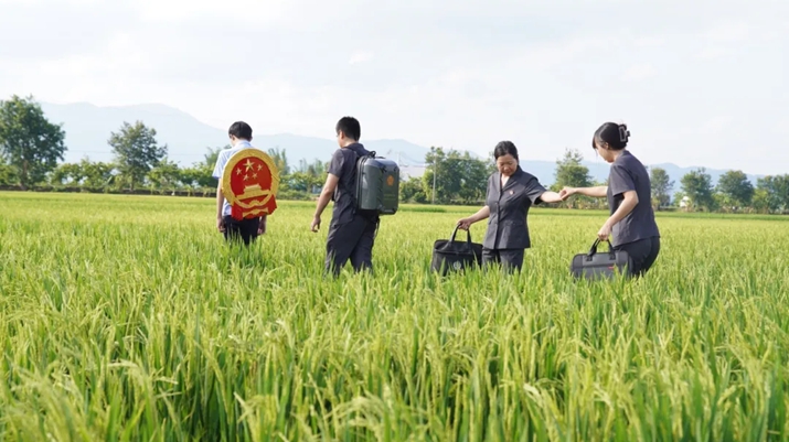 稻花香里释法理，致富路上护和谐 ——西双版纳州勐海县法院勐遮法庭多元解纷的“本土化”答卷