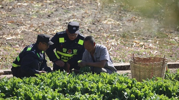 丽江市宁蒗县公安机关：“三维发力”筑牢禁种铲毒立体防线