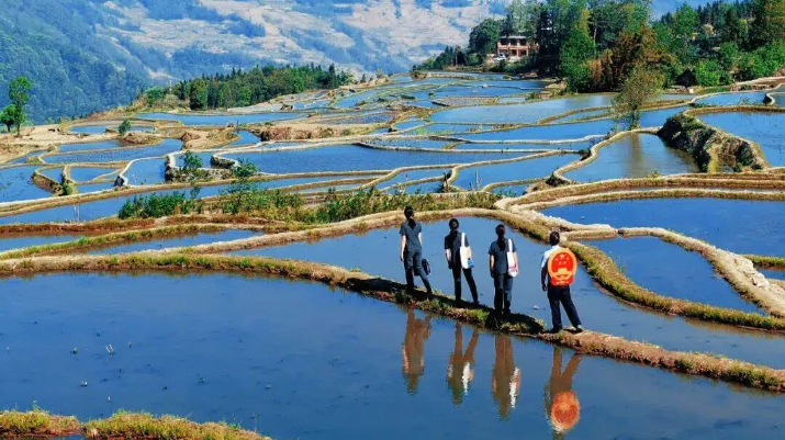 红河州元阳县法院：春光映梯田 法典护青绿 