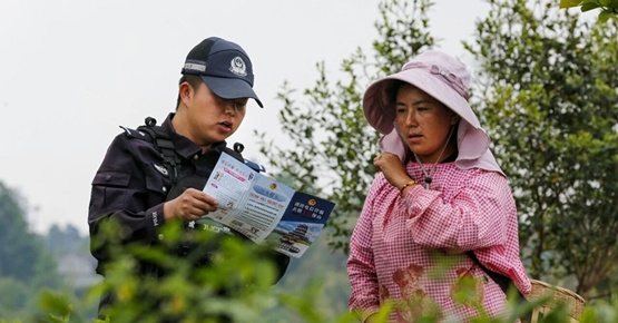 保山市腾冲市公安局蒲川派出所：“六个靠前”深耕茶山警务 守护茶乡平安
