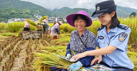 大理州永平县公安局：稻花香里话平安 绘就秋收好“丰警”