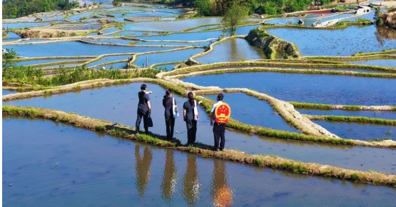 红河法院：法润红河迎华诞 司法为民护边疆