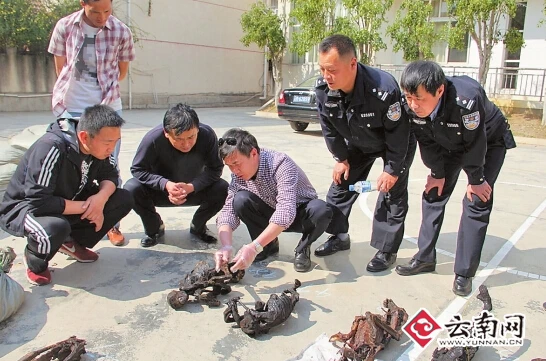 民警在鉴别动物制品