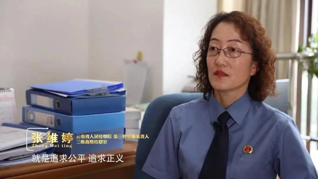 “湄公河案”“孙小果案”的公诉人张维婷：用工匠精神践行检察誓言